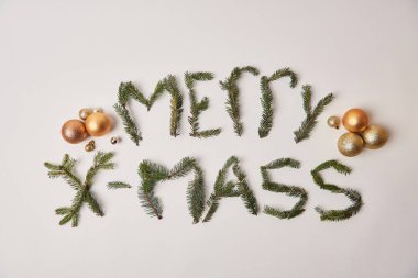 neşeli Noel tebrik üstten görünüm köknar dallar üzerinde beyaz izole yapılmış