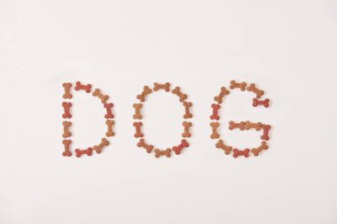 top view of lettering dog made by pet food on white surface clipart