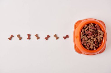 Düzenlenmiş köpek maması üstten görünüm satır yakınındaki beyaz yüzeyinde plastik kase yerleştirilir 