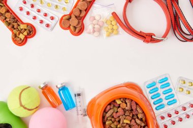 flat lay with dog collar, various pills, balls and bowl with dog food on white surface