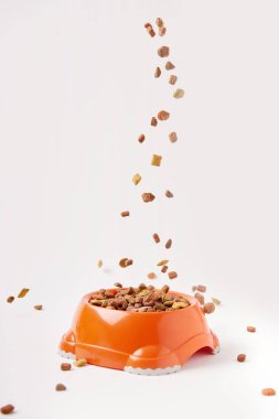 selective focus of granules falling into plastic bowl with pet food on white clipart