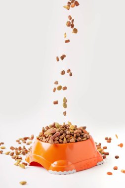 close up view of dog food granules falling into plastic bowl with pet food on white