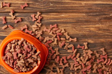 plastik kase köpek maması ahşap zemin üzerine yığını ile yukarıdan görüntülemek