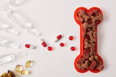 köpek maması, çeşitli haplar ve ampul ile tıbbi sıvı Plastik kemik yükseltilmiş görünümünü beyaz yüzeyi