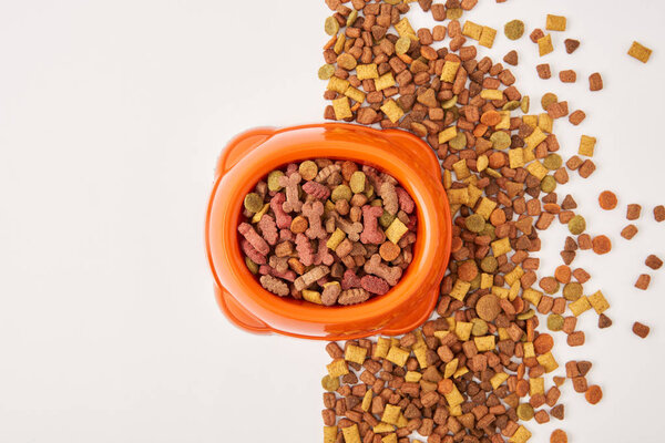 верхний вид организованной пластиковой миски и груды корма для собак на белой поверхности
