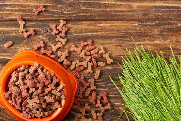 верхний вид пластиковой миски с кучей корма для собак рядом с травой на деревянном фоне
