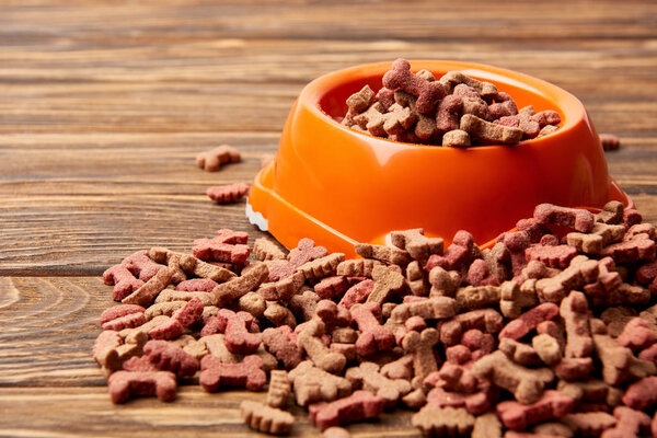 close up view of plastic bowl with pile of dog food on wooden table 