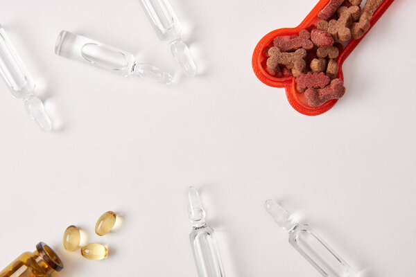 view from above plastic bone with dog food, pills and ampoules with medical liquid on white surface