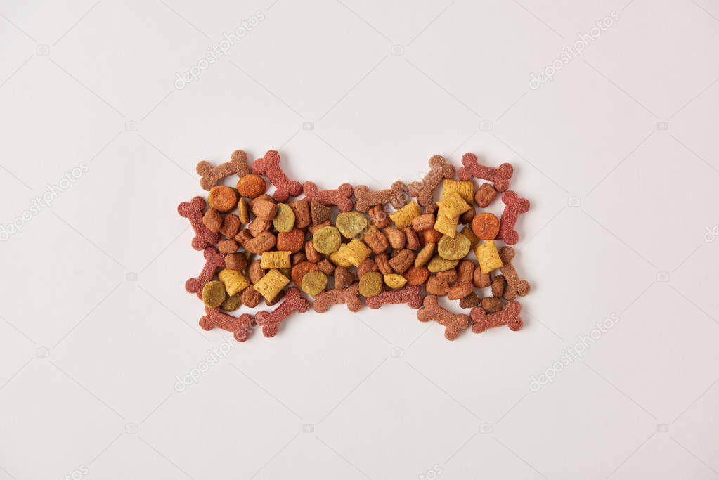 flay lay with bone made of dog food on white surface