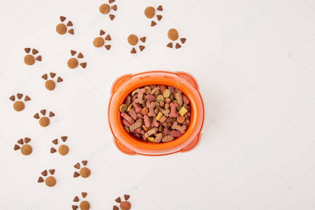 elevated view of paws made of dog food and plastic bowl with pet food on white surface