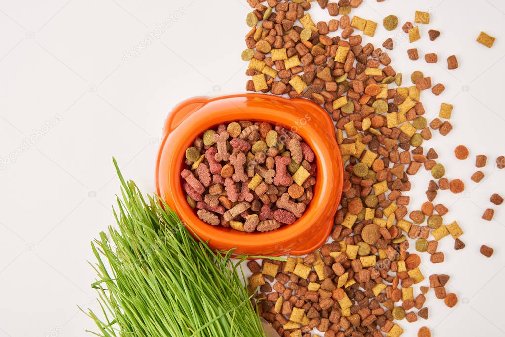 top view of arranged grass, pile of pet food and plastic bowl on white surface