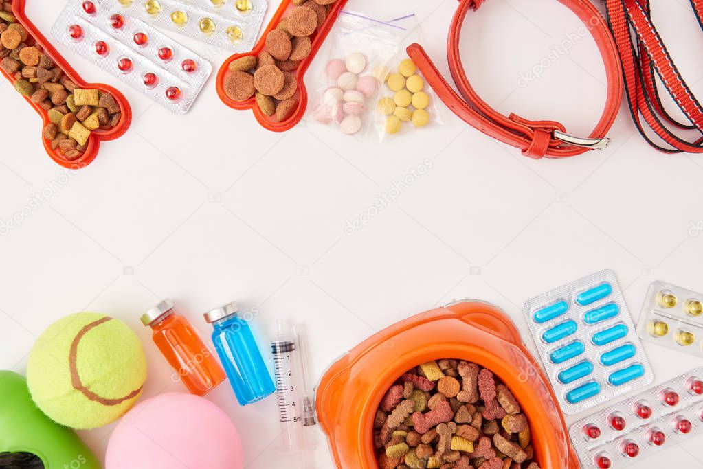 flat lay with dog collar, various pills, balls and bowl with dog food on white surface