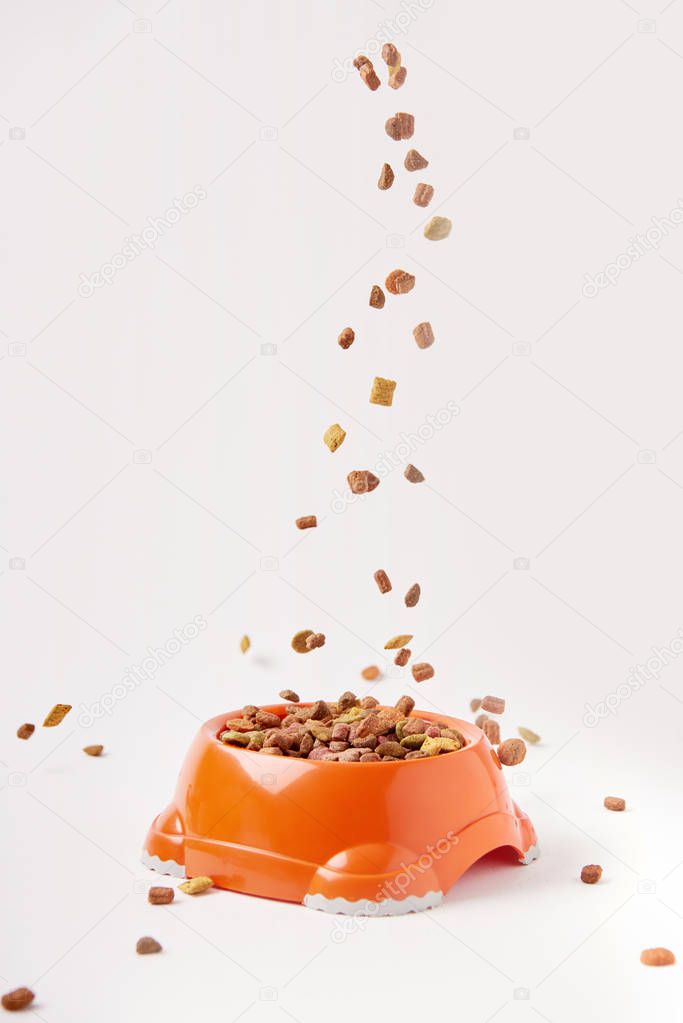 selective focus of granules falling into plastic bowl with pet food on white