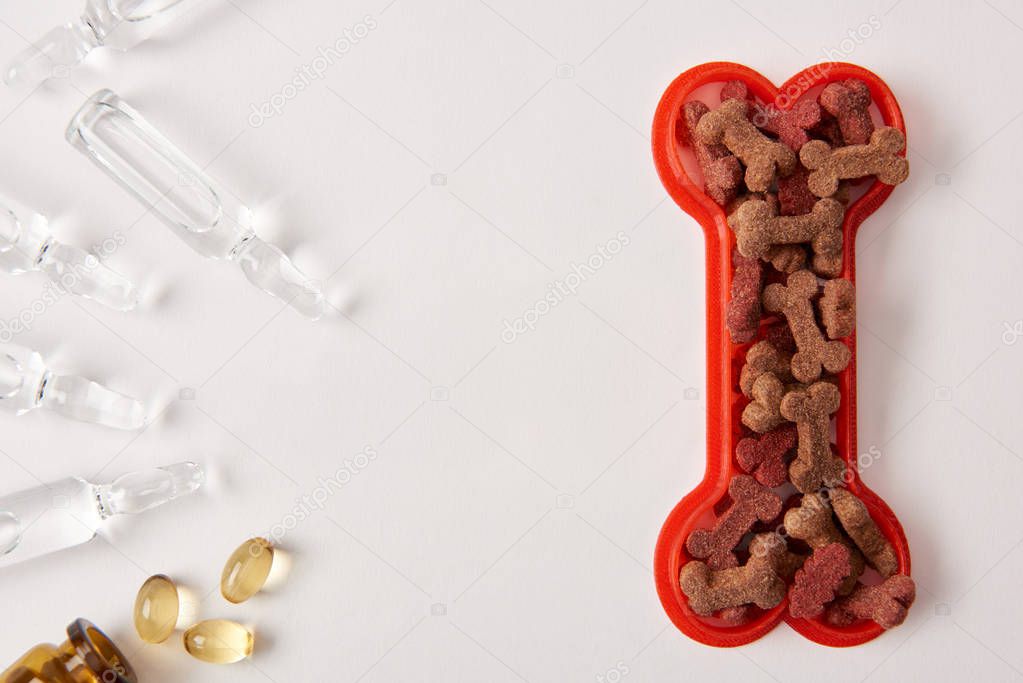top view of plastic bone with dog food, pills and ampoules with medical liquid on white surface