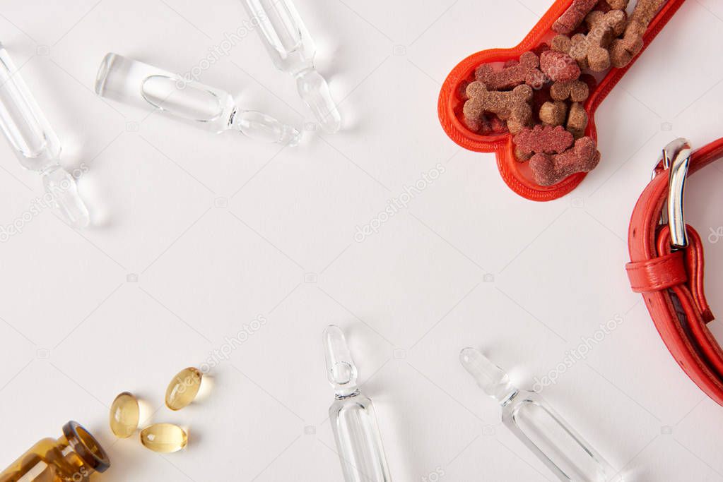flat lay with dog collar, plastic bone with pet food, pills and ampoules with medical liquid on white surface