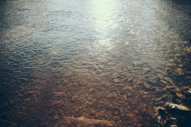 close-up shot of beautiful transparent water in mountain river, Carpathians, Ukraine