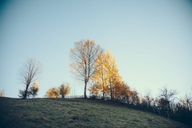 Vorokhta güzel dağ mera altında mavi gökyüzü, Karpatlar, Ukrayna
