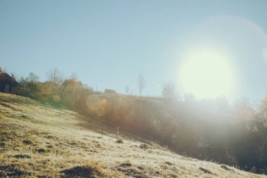 Vorokhta güzel dağ mera güneşli, Karpatlar, Ukrayna