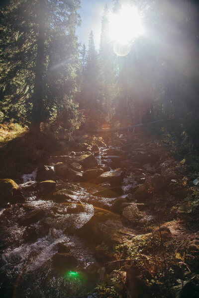 beautiful mountain waterfall in forest under sunlight, Carpathians, Ukraine