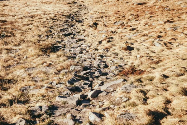 close-up shot of rocks lying on grass valley on mountain, Carpathians, Ukraine