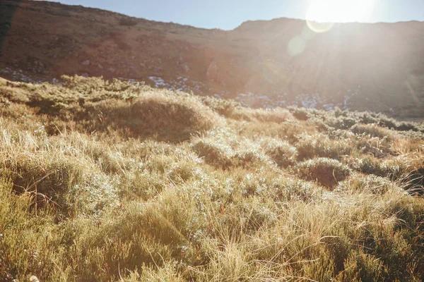 Schilderachtige Bergen Landschap Onder Avondrood Met Zon Lichtbundel Karpaten Oekraïne — Gratis stockfoto