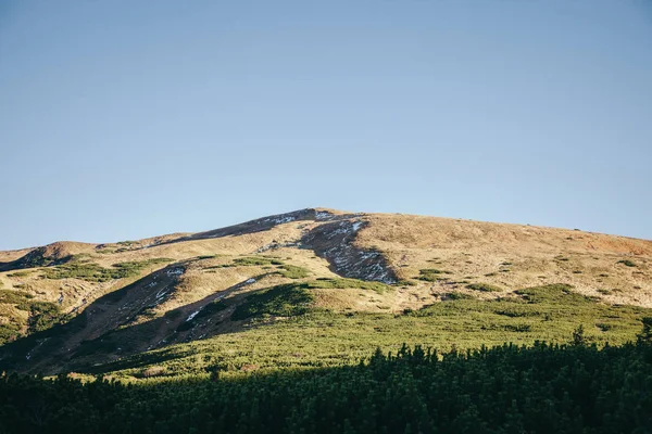 Verde Montanhas Paisagem Cárpatos Ucrânia — Fotografia de Stock