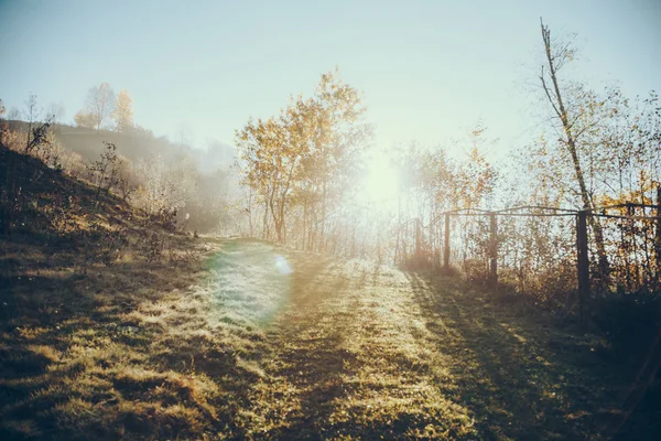 beautiful foggy landscape with sun flare in Carpathians, Ukraine