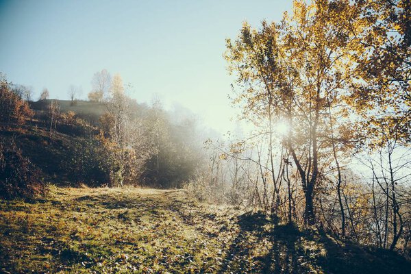 beautiful foggy landscape in Carpathians, Ukraine