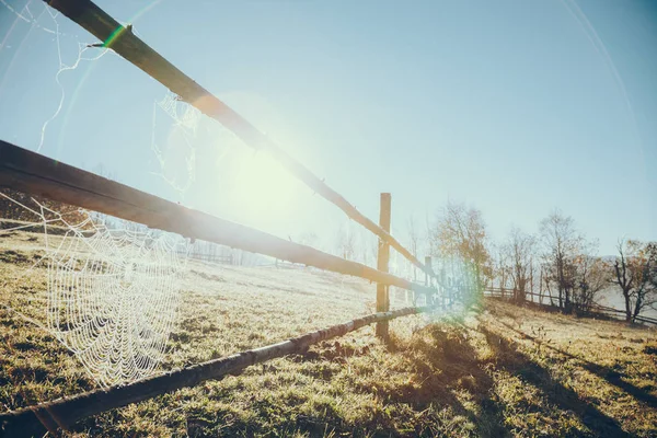 Close Shot Wooden Pasture Fence Spider Web Vorokhta Carpathians Ukraine — Stock Photo, Image