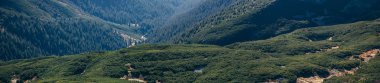 panoramik manzaralı güzel yeşil dağların manzara, Karpatlar, Ukrayna