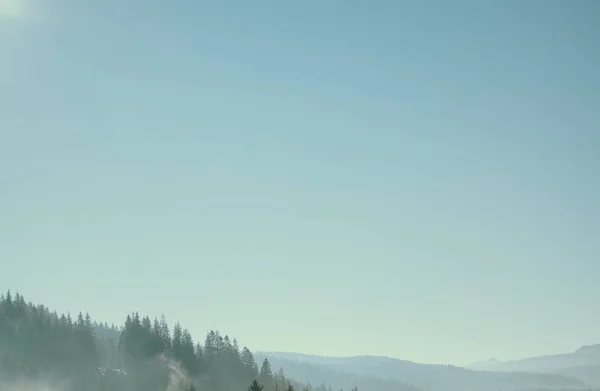 hazy green mountain forest under blue sky, Carpathians, Ukraine
