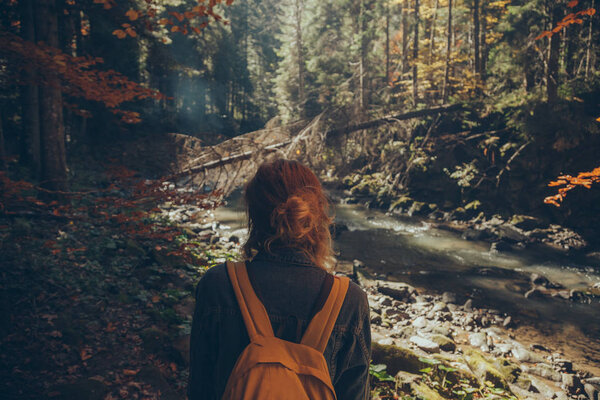 rear view of female traveler standing in mountain forest, Carpathians, Ukraine