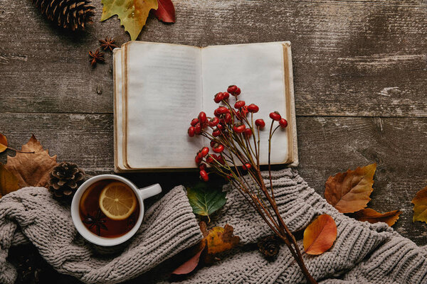 flat lay with blank notebook, red holly berries, cup of tea and sweater on wooden tabletop