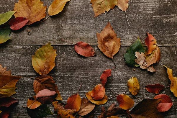 平躺在木制表面上有五颜六色的落叶 — 图库照片