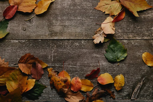 Плоский Лежал Цветными Опавшими Листьями Деревянной Поверхности — стоковое фото