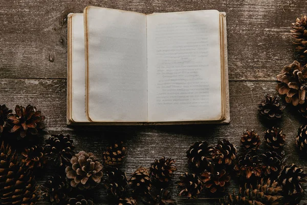 空白のノートブックとマツ円錐形の木の表面に配置されたフラット レイアウト — ストック写真