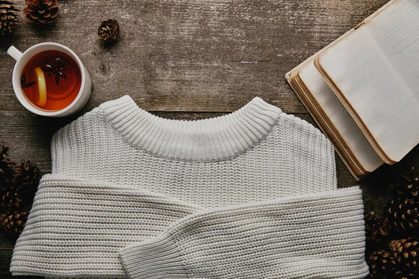 Rata Berbaring Dengan Sweater Putih Kerucut Pinus Notebook Kosong Dan — Stok Foto