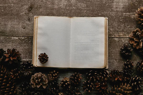 空白のノートブックとマツ円錐形の木の表面に配置されたフラット レイアウト  — 無料ストックフォト