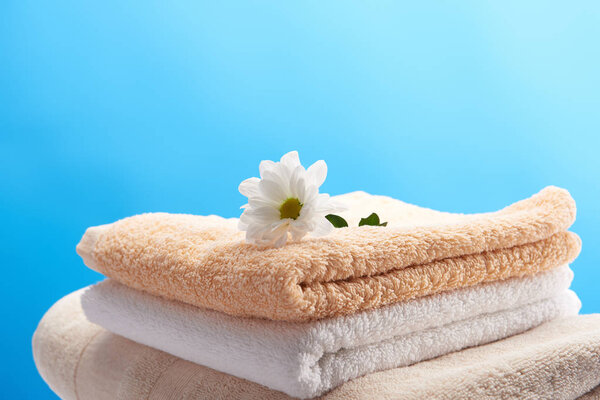 close-up view of beautiful white chamomile flower on pile of clean towels isolated on blue