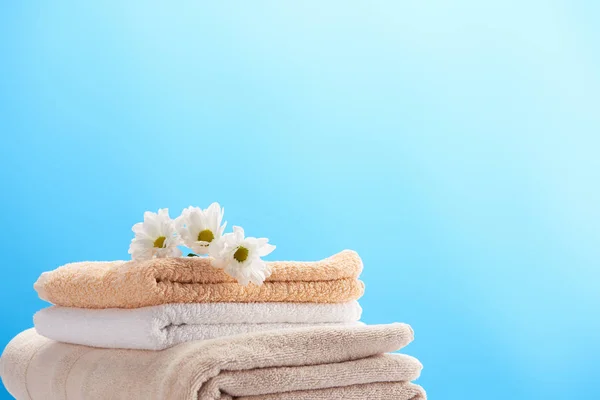 Close View Beautiful Chamomiles Pile Clean Soft Towels Isolated Blue — Stock Photo, Image