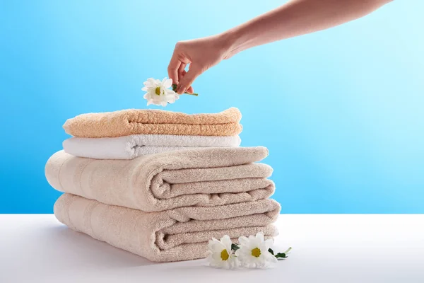 Cropped Shot Person Putting Chamomile Pile Towels Blue — Stock Photo, Image
