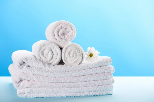 Rolled Stacked Towels Beautiful White Chamomile Flower Blue — Stock Photo, Image