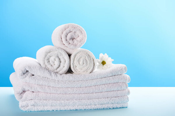 rolled and stacked towels with beautiful white chamomile flower on blue 