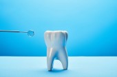close up view of tooth model and dental mouth mirror on blue backdrop
