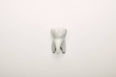 top view of tooth model on white tabletop, dental care concept clipart
