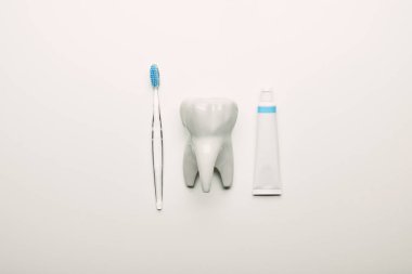 Beyaz arka plan, diş bakımı kavramı üzerinde diş modeli, diş fırçası ve Yapıştır düzenleme ile düz lay