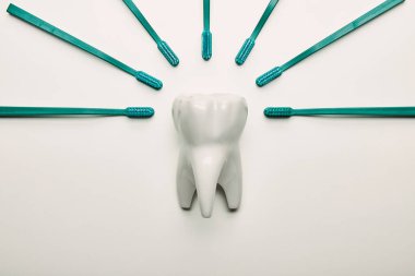 Diş Fırçaları düzenleme ile yat ve model beyaz arka plan üzerinde diş