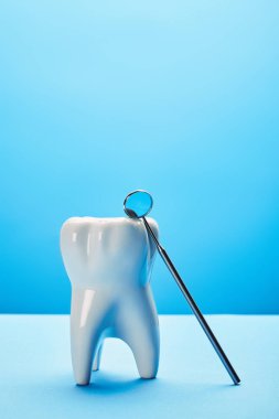 close up view of tooth model and dental mouth mirror on blue backdrop clipart