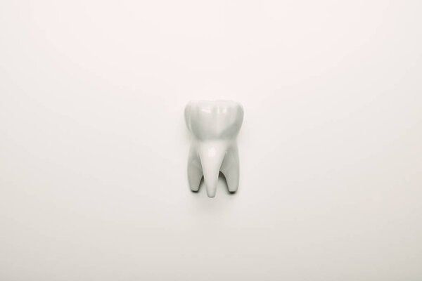 top view of tooth model on white tabletop, dental care concept