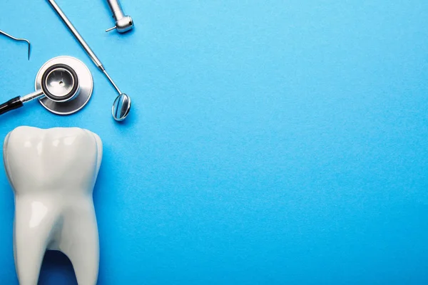 Płaskie Lay Modelu Zębów Stetoskop Sterylne Instrumenty Dentystyczne Ułożone Niebieskim — Zdjęcie stockowe
